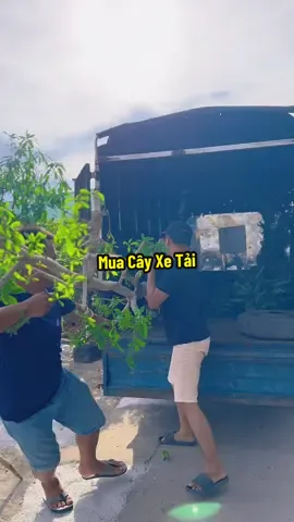 Tiếp Tục Hành Trình Mua Cây Bự Trồng Nữa Nha 🙈 #hienonha 