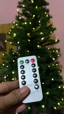 Christmas is coming check out na #christmaslights #christmastree #christmas #christmasdecor #fyp 