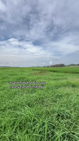 #sobatngaret #fyp #tiktok #xybca #beranda #sapijumbo #sobatngarit #ngaretsuket #galaustory 