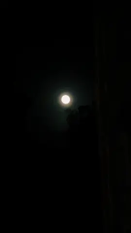 Sturgeon Moon.. Say What.. #fyp #fullmoon #moon 