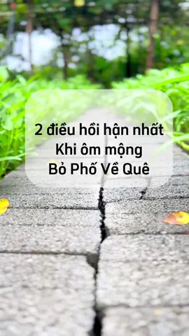 2 điều mình hối hận nhất khi ôm mộng bỏ phố về quê. Đừng để hối hận như mình? #bophoveque #lamvuon #gaipholamvuon #kinhnghiemlamvuon #lamvuonvuive