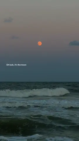 They never understand #fyp #fypシ #olebrandselect #jerseyshore #beach #fullmoon #ocean #themoon 