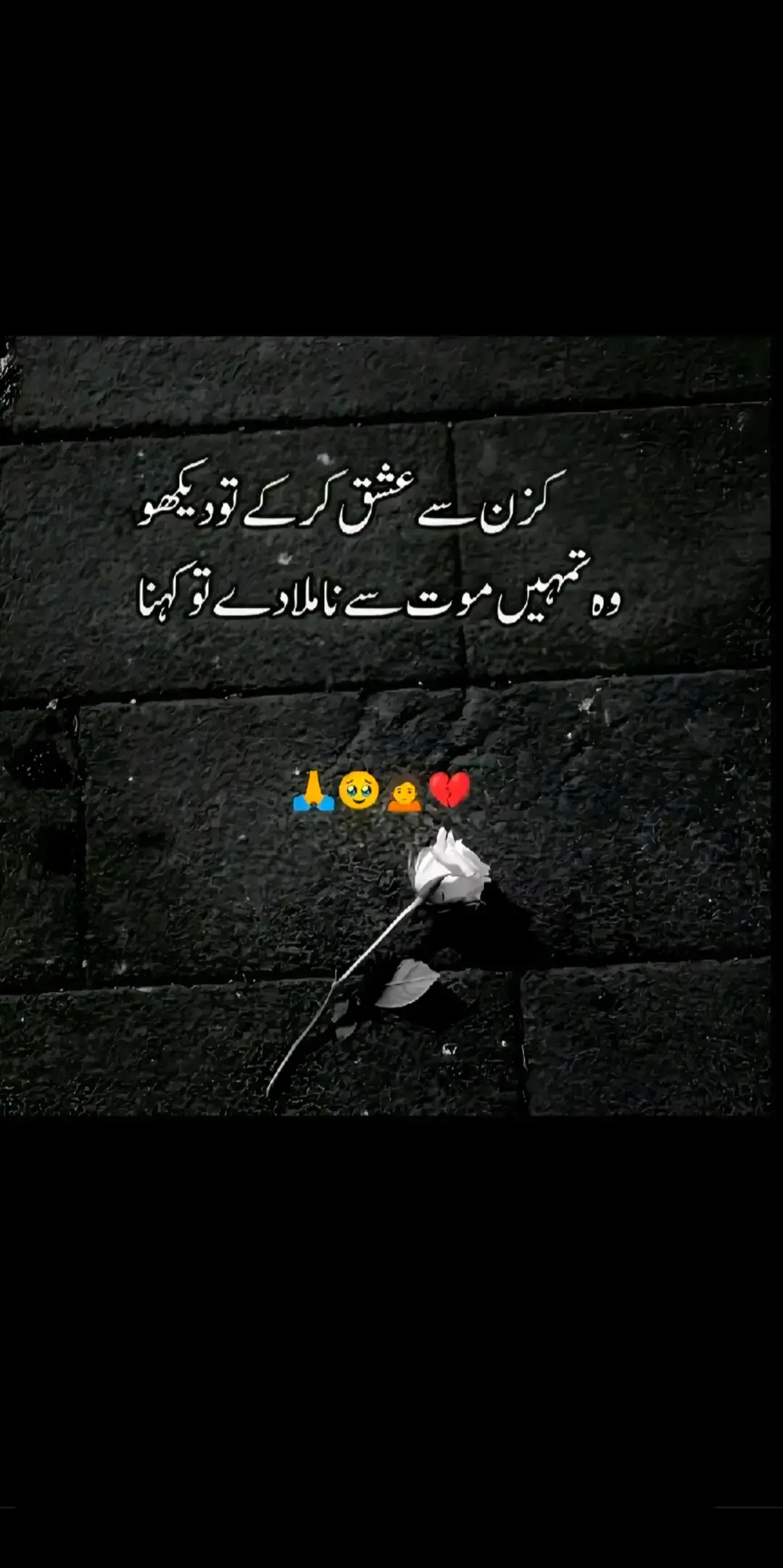 #views problem yar 😥🥺#please #viralvideo #plzunfrezemyaccount #plzunfrezemyaccount #plzunfrezemyaccount #plzunfrezemyaccount 