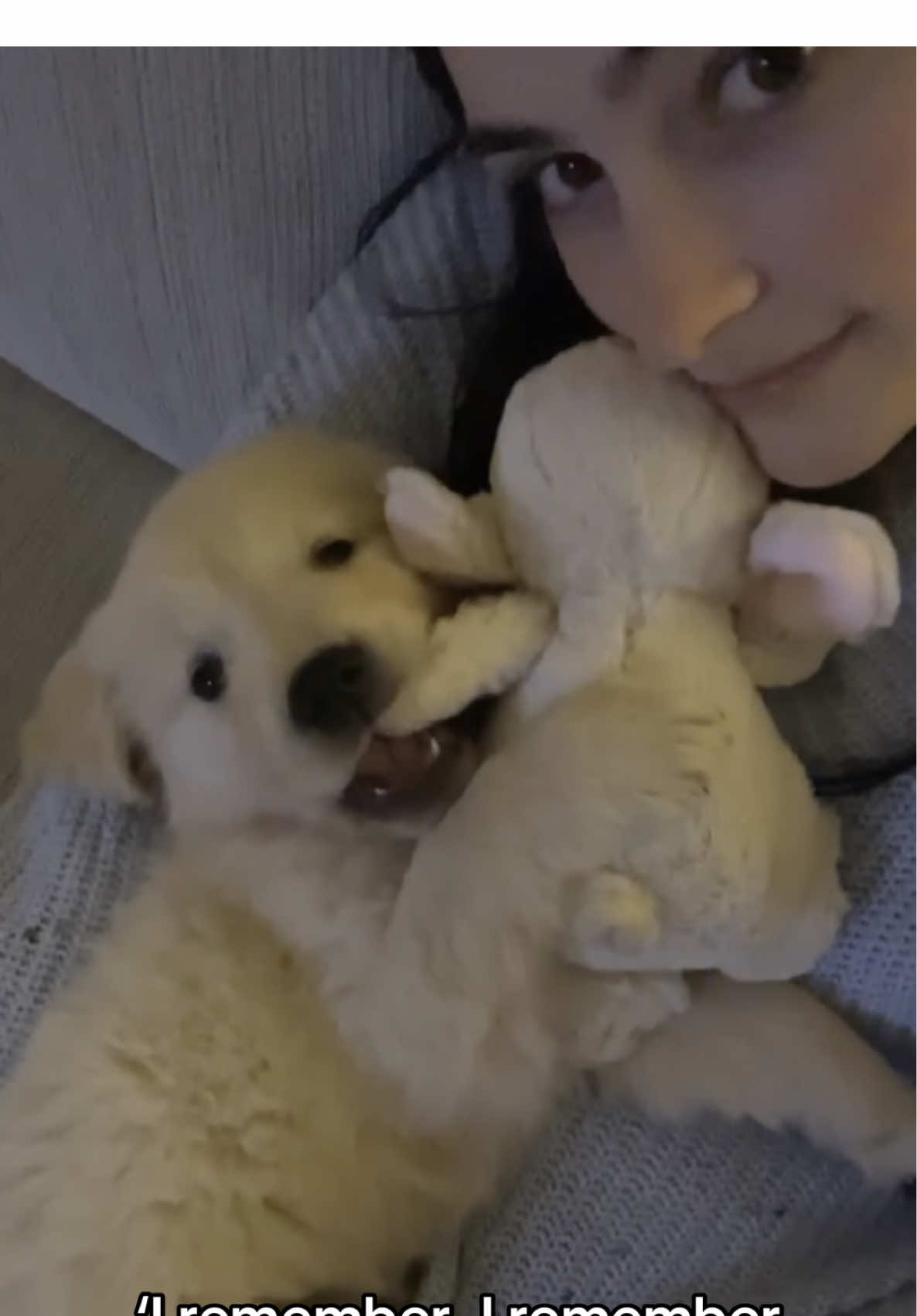 My forever baby ❤️🐶 #pup #dogsoftiktok #goldenretriever #iremember 