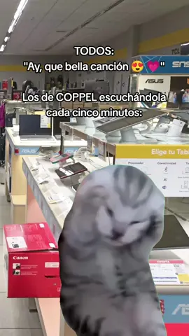 Los de Coppel sueñan con la canción  #Belinda #fyp #Decolorderosa #Coppel 