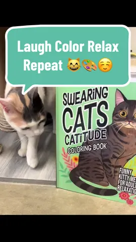 Swearing Cats #cats #catsoftiktok #cutecat #laugh #coloringbook #giftideas #catmom #kitten #kittycat #funnycat 