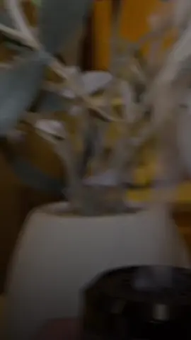 مخليني وحدي#🖤🤍 