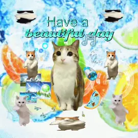 i'm a new soul i came to this strange world 🐈🎶 #cats #viralcat #catlover #memecat #cattok #sillycat #webcore #jollytok #kittycat #catsoftiktok #meowl #2000s #viral #catsmeme #corecore #sillycats 
