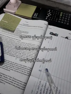 ခနနေစာလုပ်ရမယ်#tiktok #foryou #lyrics #tiktokmyanmar #fypシ 