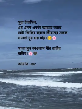 সুরা ইয়াসিন, এর এমন একটা আয়াত আছে যেটা জিকির করলে জীবনের সকল সমস্যা দূর হয়ে যায়।😊🌸 সালা মুন কাওলাম মীর রাব্বির রাহীম।🌸🖤 আয়াত -৫৮#fupシ #foryou #vairal_video #unfreezemyacount #foryoupage #tiktokoficial #monjurvai 