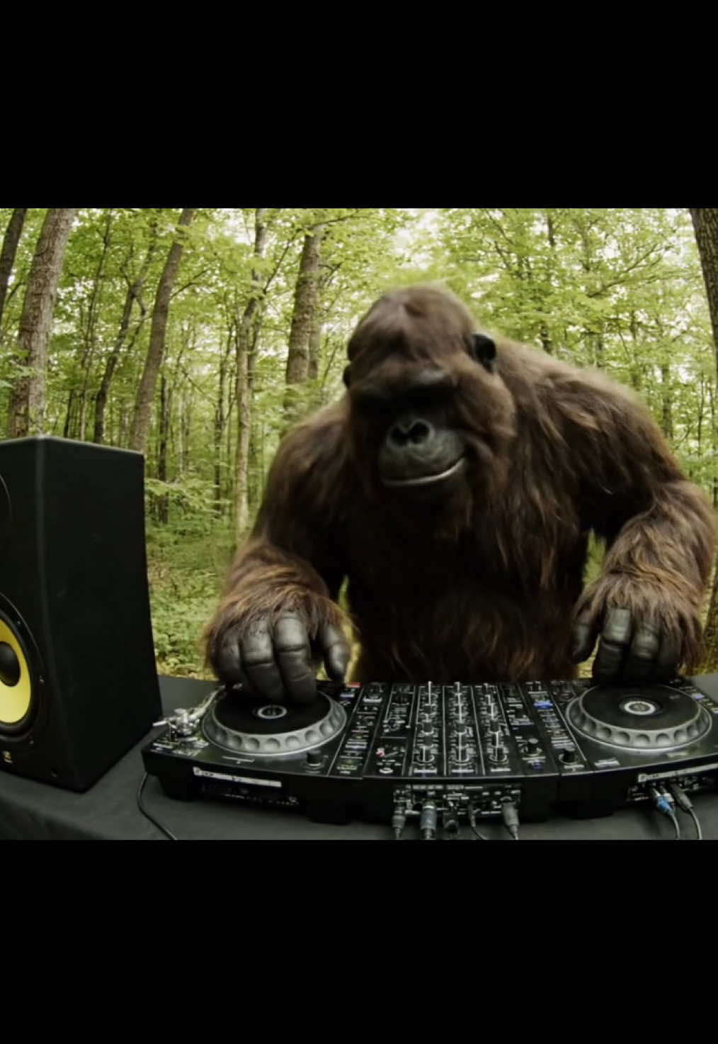 Rate it from 1-10#bigfoot #bigfootvlogs #funny_video #Vlog 