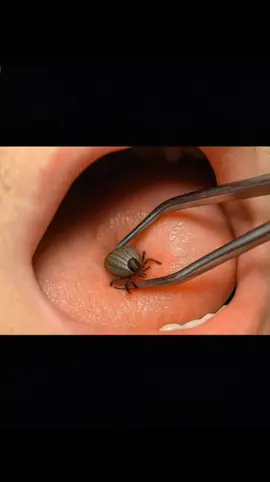 Asmr animal  #asmrsounds #viral #satisfaction #satisfaction #satisfyingvideos #asmrtiktoks #relaxing 