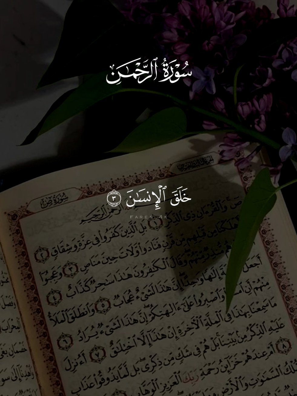 سورة الرحمن كامله ماهر المعيقلي 🩶 #قران #ماهرالمعيقلي #quran #قران_كريم #سورة_الرحمن 