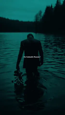 8:30 | Ha cadadin ruxan ka gayn colado🥹💔#fypシ゚ #somalitiktok🇸🇴 #hafitt🦅🖤 #lyrics_songs #apdihafid❤️ 