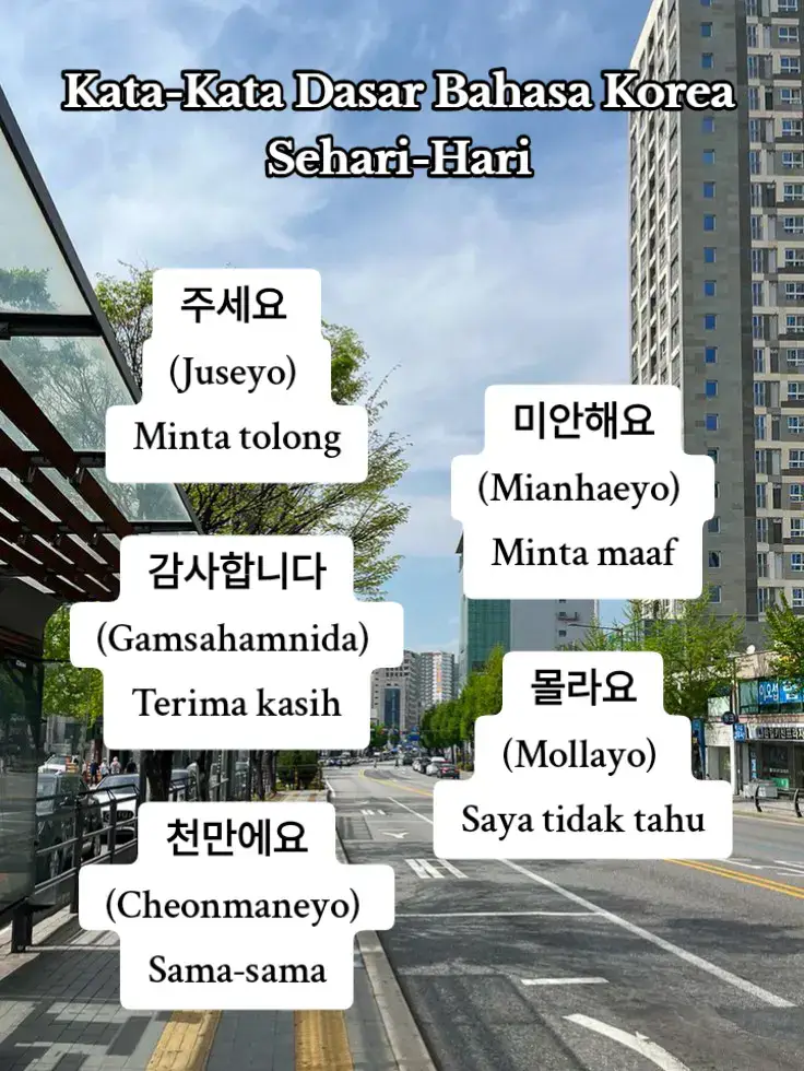 sudah siap ke Korea? 🇰🇷 #belajarbahasakorea #bahasakorea #bukubahasakorea 
