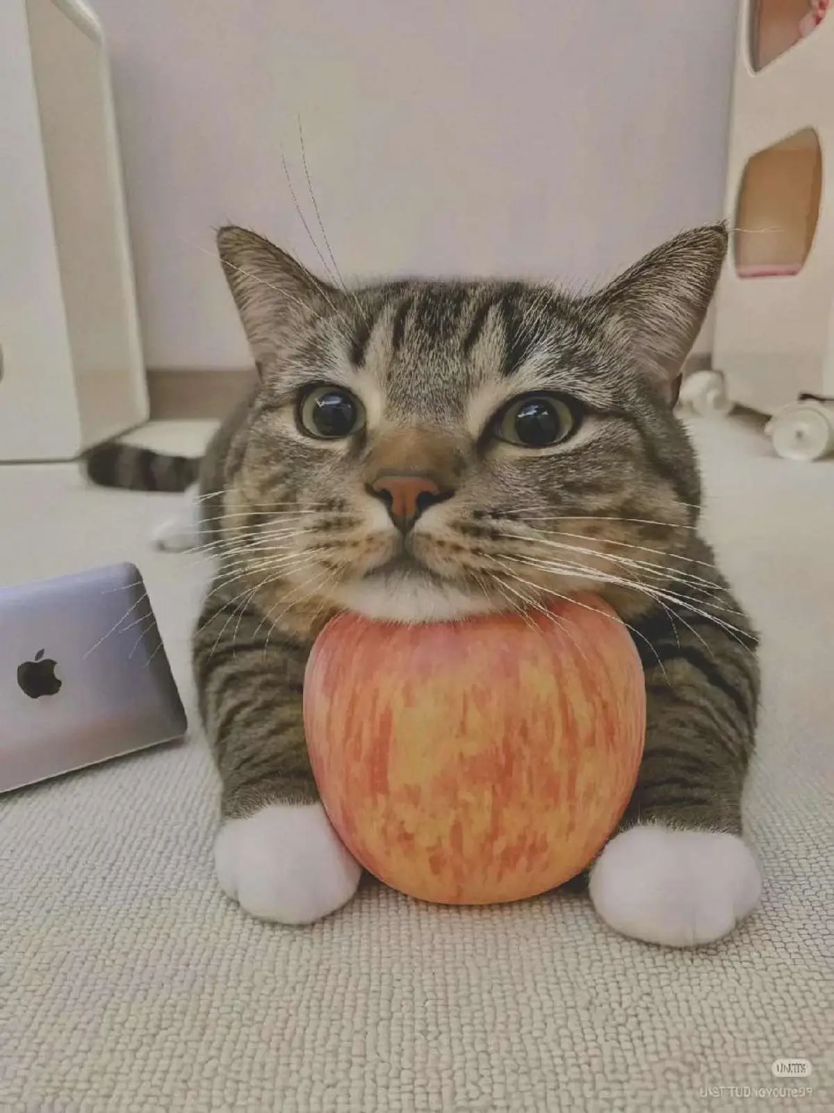 #anime #waifusedits #arte #fyp #rain 