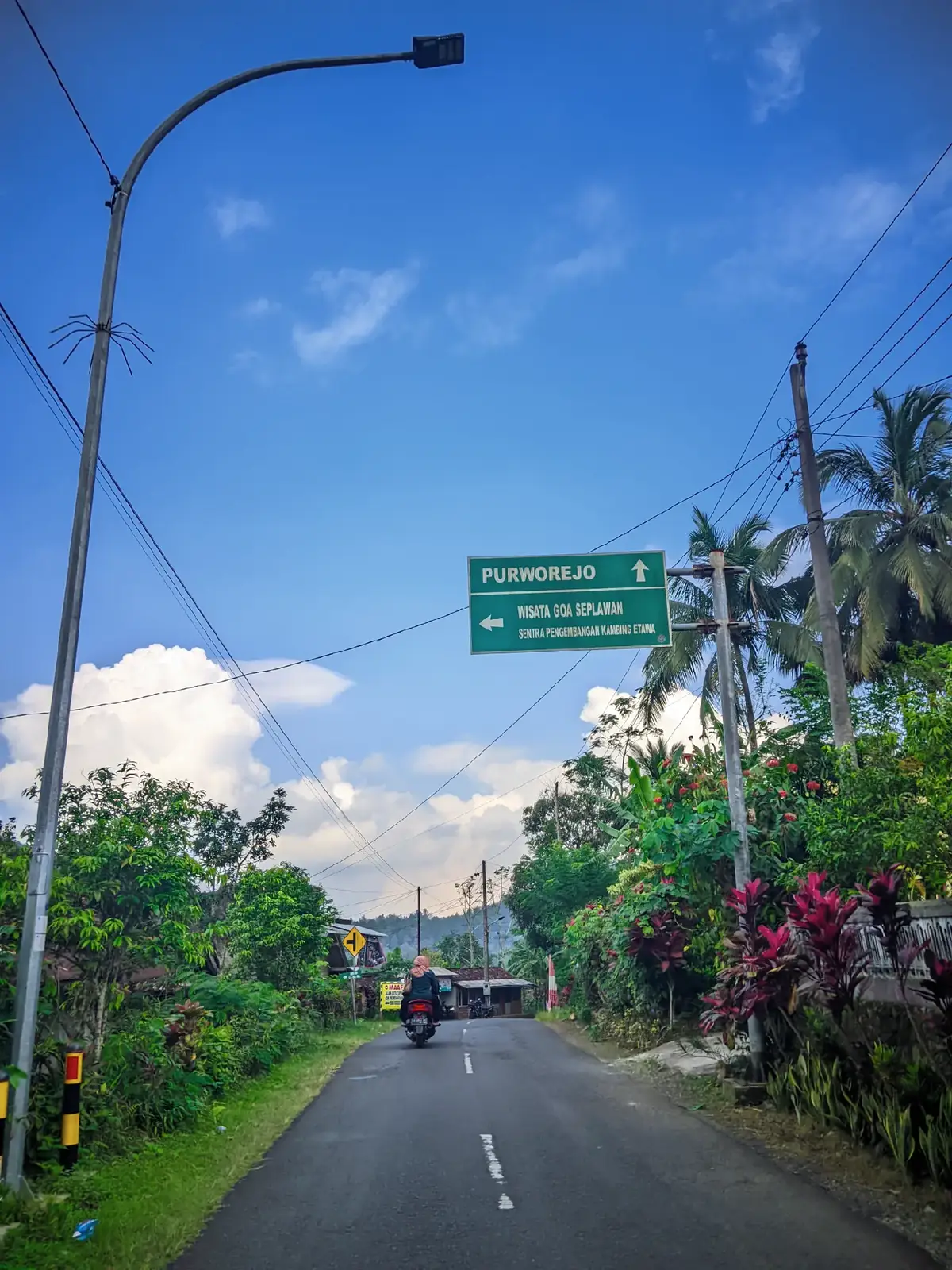 #xyzbca #lewatberandafyp #foryoupage #purworejo24jam 