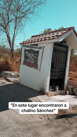 Aquí encontraron al rey del corrido #viral #brujo #humor 