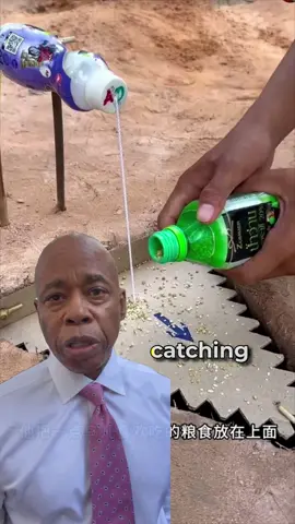 After just a short while, a little bird actually came over. Can it be fooled and fall in? #eric #grain #tricked 