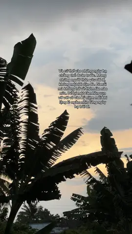 Mùa hạ đau lòng thật 🤍#xuhuong 