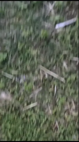 loading #cbr150r #cbr250rr #magelang24jam #fyp #capcut