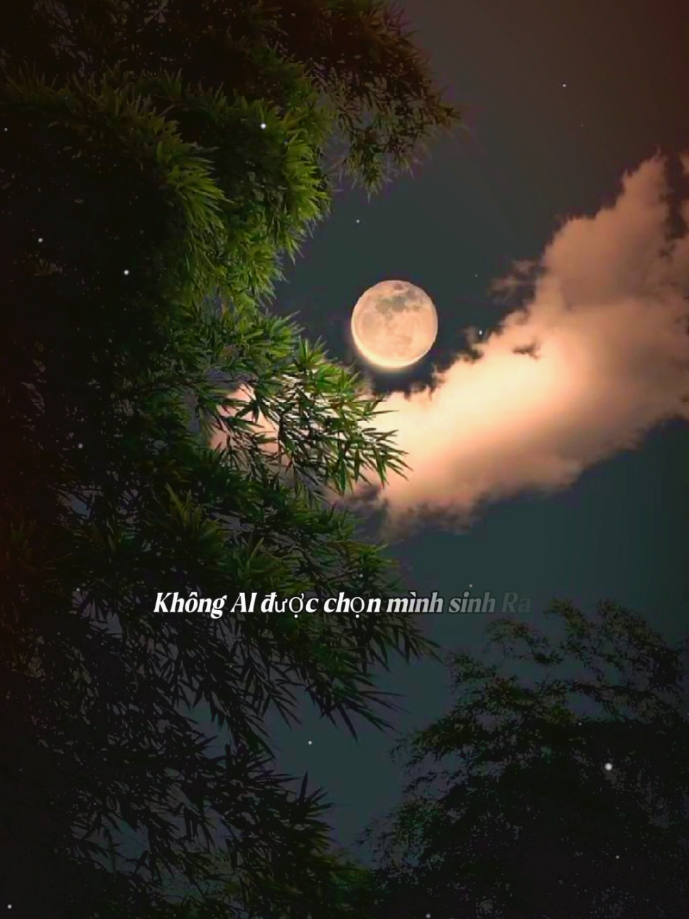 #CapCut đời người có 2 canh bạc lớn  #tramtamtrang39 #nhachaymoingay #tamtrang #nhactamtrang #sttbuontamtrang #xuhuongtiktok 