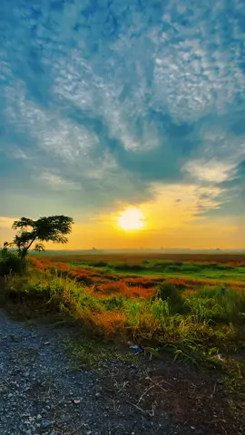 #CapCut Relax with sky sunrise today beautiful . #radio #relax #sunrise #today 