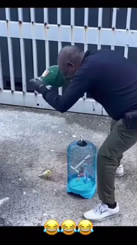 #foryoupage #foryou #fyp #viral #viralvideo #tiktok #satisfyingvideo #asmri  #TikTok - #TikTokCommunity - #TikTokFam - #TikTokDance - #TikTokComedy - #tiktokmusic * - #TikTokArt - #TikTokCreativity #TikTokDesign * - #TikTokFashion - #TikTokBeauty - #tiktoktravel * - #TikTokGaming - #TikTokGamers - #TikTokEsports * - #TikTokLearn - #TikTokEducation - #TikTokKnowledge - #SprayPainting - #StreetArt - #GraffitiArt - #UrbanArt - #MuralArt - #SprayPaintArt - #ArtWithSprayPaint - #SprayCanArt -   - #StreetArt - #GraffitiArt- #UrbanArt- #MuralArt - #SprayPaintArt - #ArtWithSprayPaint   - #UK- #British， #UKLife, #British - #Germany - #German, #Germany #German - #Italy - #Italian, #ItalyLife, #Itali - #Spain - #Spanish, #SpainLife, #Spani - #USA -#USALife, #American - #Canada - #Canadian, #Canada - #Mexico - - #Brazil - #Brazilian, #BrazilLife, #BrazilianCulture - #Argentina - #Argentine, #ArgentinaLife, #ArgentineCulture - #Chile - #Chilean, #ChileLife, #C - #SouthAfrica - #SouthAfrican, #SouthAfricaLife, #SouthAfricanCulture - #Nigeria - - #Egypt - - #Australia - #Australian, #AustraliaLife, #AustralianCulture - #Newzealand - #Newzealand, #NewzealandLife, #NewzealandCulture- #ASMR - #Relaxation - #CalmingSounds - #Whispering - #Tapping #PersonalAttention - #RolePlay - #Triggers - #SleepAid views #PageTurning- #PenTapping- #HairBrushi #Crinklin-- #FYP-#ForYouPage-#Viral - #Trending - #Challenge - #Dance - #LipSync - #Comedy - #Entertainment - #Funny -   -#smiles1113 #fyp #respect #funnymoments #funyy_videos #fun #tik_tok #fyp 