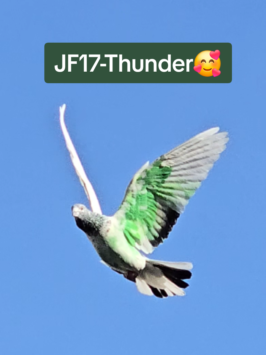 شوق🥰