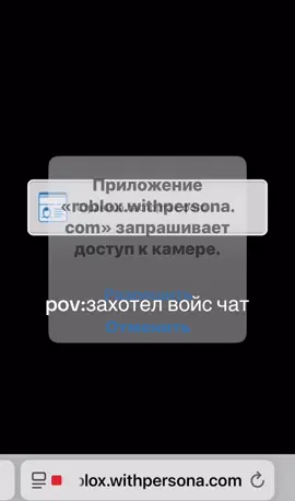 по приколу #voice #chat #roblox #fyp #robloxfyp #passport #Паспорт #угар #смехуятина 