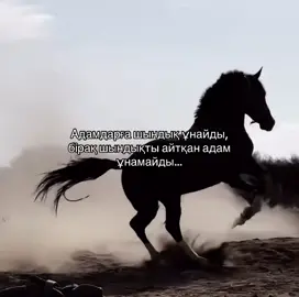 #fyp #рекомендации #🐺🦅 #қазақ #баласы #алла #ұлық #өмір #шындық 