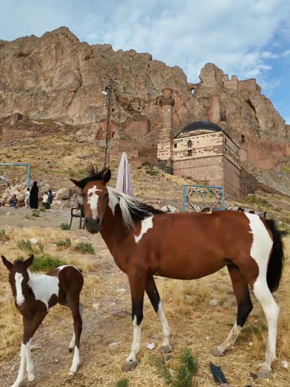 #tiktok #doğubeyazıt #ishakpaşasarayı #türkiye #04 #bazid 