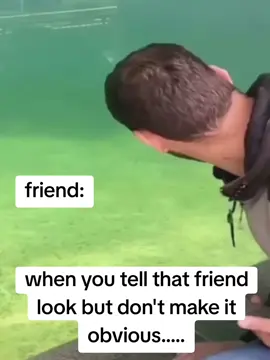 dont look 😃#foruyou #for #viralditiktok #fouryou #voorjou #fyp #viralvideos 