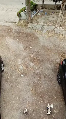 صباح الخير مع لحن مميز ومشاعر لا يعبر عنها الا بالعزف #اربعيني #موسيقى #fyppppppppppppppppppppppp #احساس #tiktok #صباح_الخير 