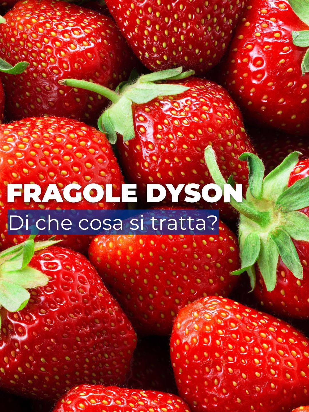 La Dyson si è messa a coltivare fragole?