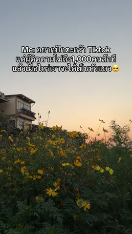 เงินอยู่ในอากาศก็จริง แต่เมื่อไหร่ถึงจะมีโอกาส✌🏻🥺 #อยากขายออนไลน์ #เปิดการมองเห็น #ตามกระแส #เทรนวันนี้ #ฝากติดตาม 