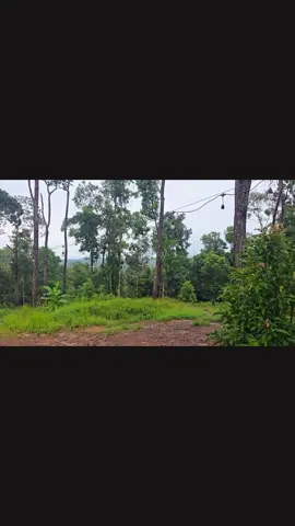 💝😘😘😘🥰🥰🥰💕💕💕🥰