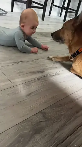Baby’s best companion #baby #dog #Love #cute #babiesoftiktok #dogsoftiktok #foryou 