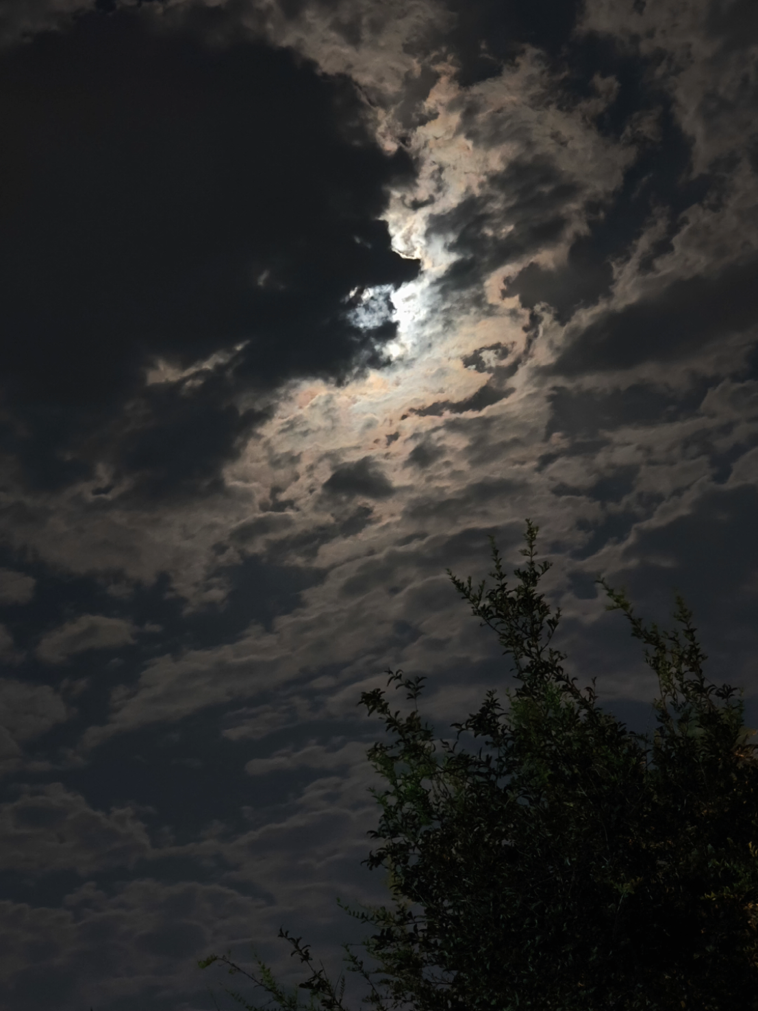 منظر القمر اخر شي ... 🌕☁️😮      .#غيوم #قمر #تصوير #ليل #moon #clouds #تصويري📷 #sky #جو 