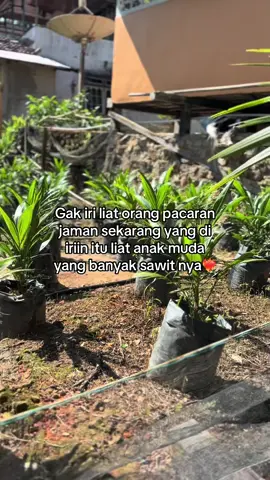 Masih muda kok yang di kerjar anak orang harus nya anak orang yang ngejar kita🤣🤣#foryoupage @HOKKY 