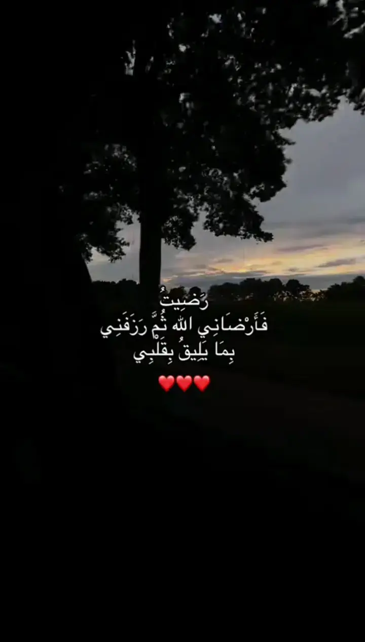 #امين_يارب🤲🏻🥀🕊️ #اللهم_لك_الحمد_ولك_الشكر_حتى_ترضى🥺💛💛💛 #اللهم_لك_الحمد_ولك_الشكر #foryoupage #الحمدلله_دائماً_وابداً #مشاهير_تيك_توك #كسبلور_تيك_توك #كسبللوررررررر_explor #fyp #متابعة #العراق🇮🇶 