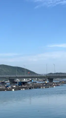 Mỗi người lướt qua đời mình là duyên hay nợ ? #story #tâmtrạng #cauthanhducsahuynh #xuhuongtiktok #76h1_quãngngãi 