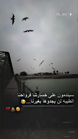 #عبارات_حزينه💔 #تصميم_فيديوهات🎶🎤🎬 #عباراتكم_الفخمه📿📌 #تفاعلكم_لايك_متابعه_اكسبلورررر 