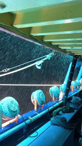 udan los ji😟 #fyp #asiamakmurgroupjuwana #asiamakmur #bintangasia #kapalpursesainejuwana #nelayanjuwanapati #nelayanindonesia 