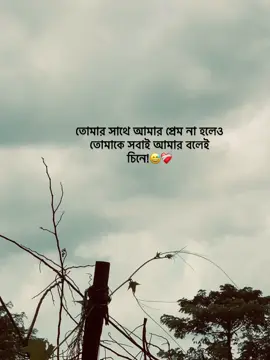 তোমার সাথে আমার প্রেম না হলেও তোমাকে সবাই আমার বলেই চিনে!😅❤️‍🩹#foryou #foryoupage #trending #fyp 