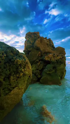 Wow 😱 #creatorsearchinsights #foryou #foryoupage 