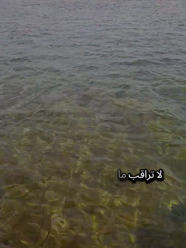 لا تراقب ما هجرت وزد في الهجران فإن المراقبة ذل وهوان وتذكر كم تناسوا فضائلك فإنسى وأطغى في النسيان #تركيا #اسطنبول #الغربة #مغترب #شعروقصايد 