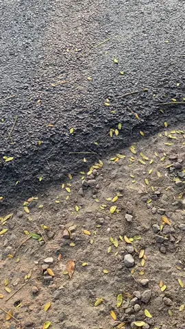 #miosporty #ponorogo24jam #telagangebelponorogo 