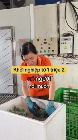 Vốn 1 triệu 2 là các bạn đã khởi nghiệp được rồi #khoinghiep #sinhtoquanhnam #sinhtobo 