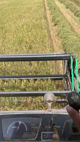 #កូនអ្នកព្រៃវែង❤️ #ស្រលាញ់ការរាប់អាន❤️ 